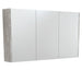 Fienza Mirror Cabinet 1200mm (Industrial)