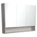 Fienza Mirror Cabinet with Display Shelf 1200mm (Industrial)