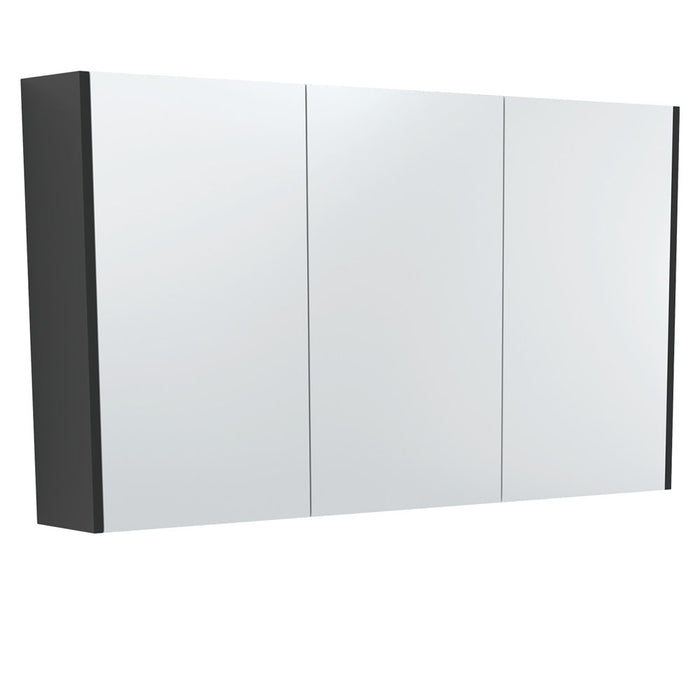 Fienza Mirror Cabinet 1200mm (Satin Black)