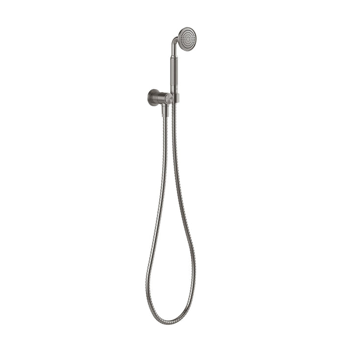 Wiltern Hand Shower (Brushed Carbon)