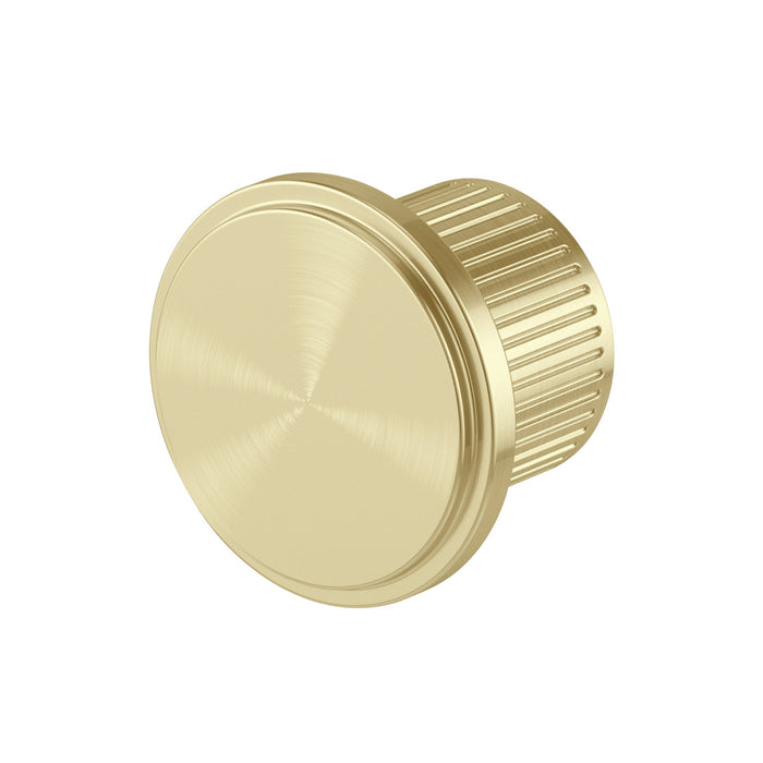 Wiltern Robe Hook (Brushed Gold)