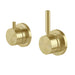 Vivid MkII Wall Mixer Pin Up with Diverter Switch (Brushed Gold)