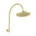 Vivid MkII Overhead Shower (Brushed Gold)
