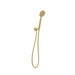 Vivid MkII Hand Shower (Brushed Gold)