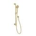 Vivid MkII Rail Shower (Brushed Gold)