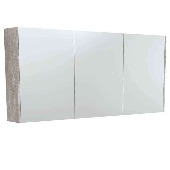 Fienza Mirror Cabinet 1500mm (Industrial)