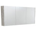 Fienza Mirror Cabinet 1500mm (Industrial)
