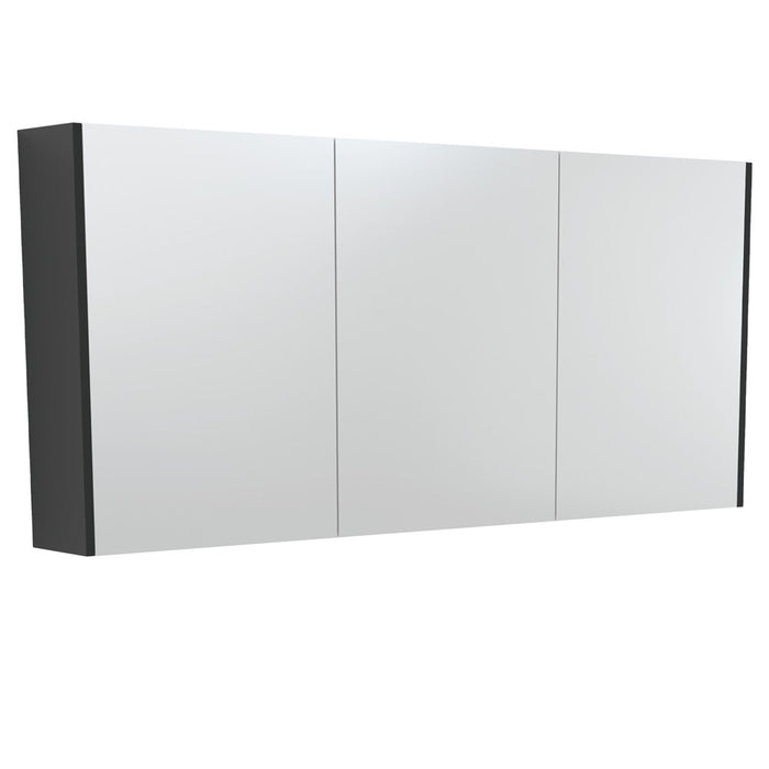 Fienza Mirror Cabinet 1500mm (Satin Black)