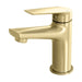 Arlo Basin Mixer (Brushed Gold)