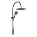 Millenium Jenex 250mm Dual Shower (Matte Black)