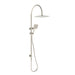 Millenium Jenex 250mm Combination Shower (Brushed Nickel)