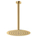 Fienza Kaya Ceiling Shower 250mm Head 350mm Drop (Urban Brass)