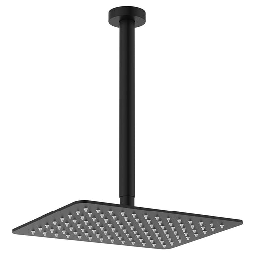 Fienza Tono Shower Dropper Set (Matte Black)