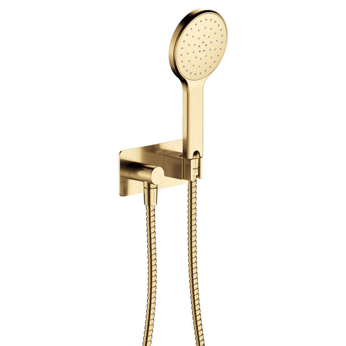 Fienza Kaya Hand Shower Rectangular Plate (Urban Brass)
