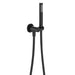 Fienza Isabella Hand Shower Round Plate (Matte Black)