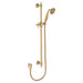 Fienza Lillian Rail Shower (Urban Brass)