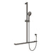 Fienza Care Inverted T Rail Shower (Gun Metal)