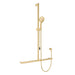 Fienza Care Inverted T Rail Shower with Push/Pull Slider (Urban Brass)