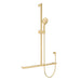 Fienza Care Inverted T Rail Shower (Urban Brass)