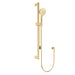 Fienza Care Rail Shower with Push/Pull Slider (Urban Brass)