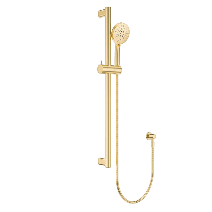 Fienza Care Rail Shower (Urban Brass)