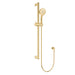 Fienza Care Rail Shower (Urban Brass)