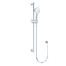 Fienza Care Rail Shower (Chrome)