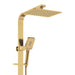 Fienza Tono Deluxe Twin Shower (Urban Brass)