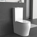 KDK Zeus Tornado Toilet Suite