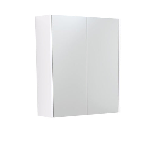 Fienza Mirror Cabinet 600mm (Gloss White)
