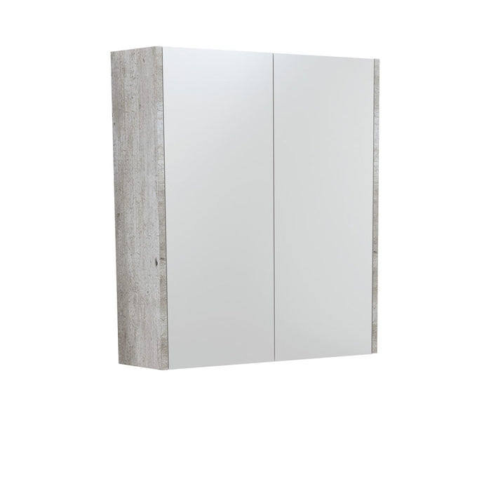 Fienza Mirror Cabinet 600mm (Industrial)