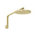Oxley High Rise Shower Arm and Rose with LuxeXP in Brushed Gold