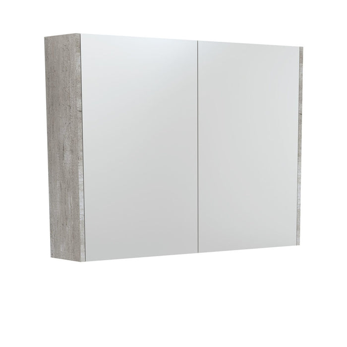 Fienza Mirror Cabinet 900mm (Industrial)