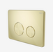 In Wall Toilet Push Plate (Brushed Gold)