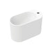 Fienza Ari Solid Surface Wall Basin (1 Taphole)