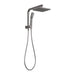 Lexi Compact Twin Shower (Brushed Carbon)