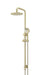 Meir Round Combination Shower Rail, 200mm Rose, Three-Function Hand Shower (PVD Tiger Bronze