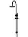 Round Gooseneck Shower Set with 200mm rose, Single-Function Hand Shower (Matte Black)