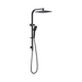 Celia Twin Shower (Matte Black)