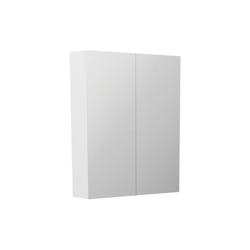 Fienza Pencil Edge 600 Mirror Cabinet | The Bathroom Biz