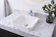 Truth Semi Inset Basin 1
