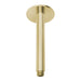 Vivid Ceiling Arm Only 150mm (Brushed Gold)