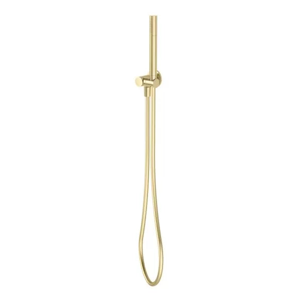 Vivid Slimline Microphone Hand Shower Brushed Gold