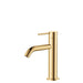 Fienza Kaya Basin Mixer (Urban Brass)