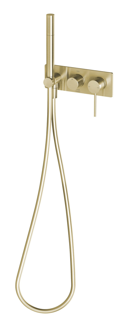 Vivid Slimline Wall Shower System (Brushed Gold)