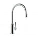 Winslow Kitchen Mixer Single Lever with Pull-out Spray (Lever) (Chrome)