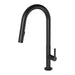 Lexi MKII Pull Out Sink Mixer (Matte Black)