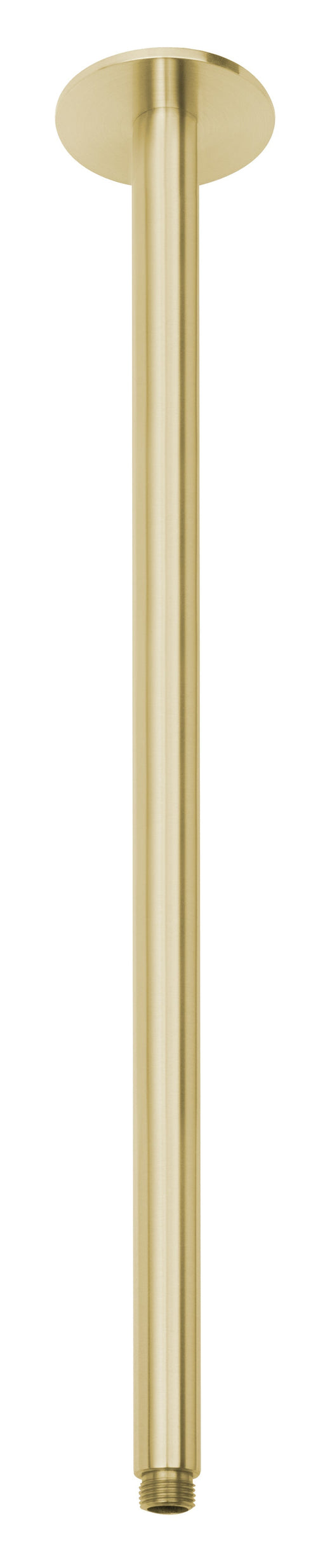 Vivid Ceiling Arm Only 450mm (Brushed Gold)